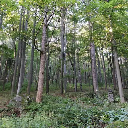 Central Marienbad Apartaments *