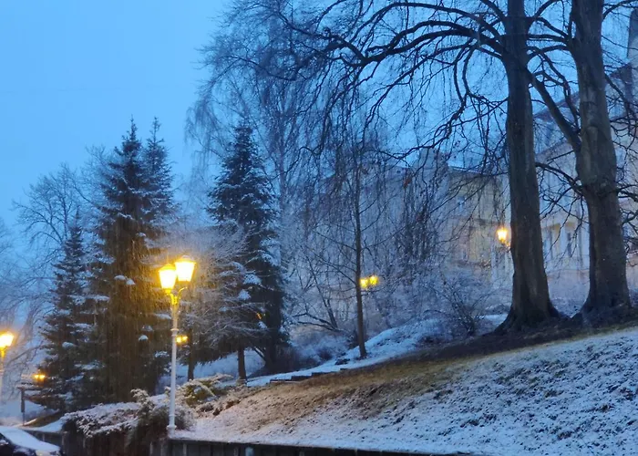 Apartamento Central Marienbad Apartaments Mariánské Lázně