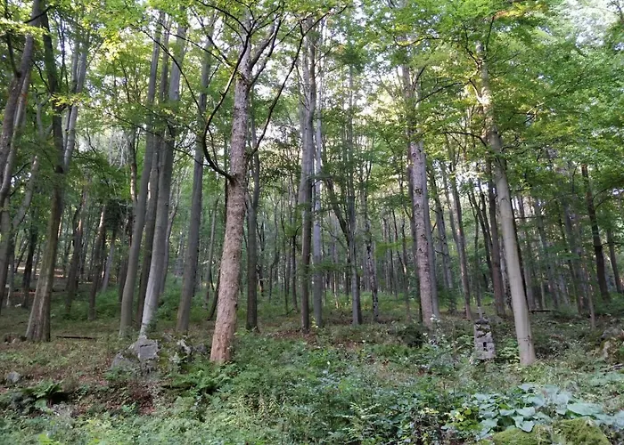 Central Marienbad Apartaments *