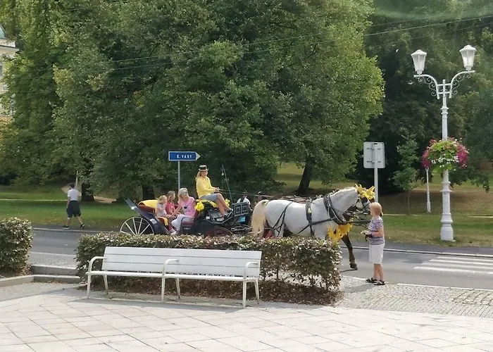 Apartment Central Marienbad Apartaments *